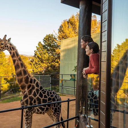 Jamala Wildlife Lodge Canberra Exterior foto