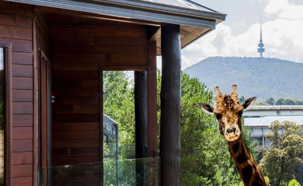 Jamala Wildlife Lodge Canberra Exterior foto