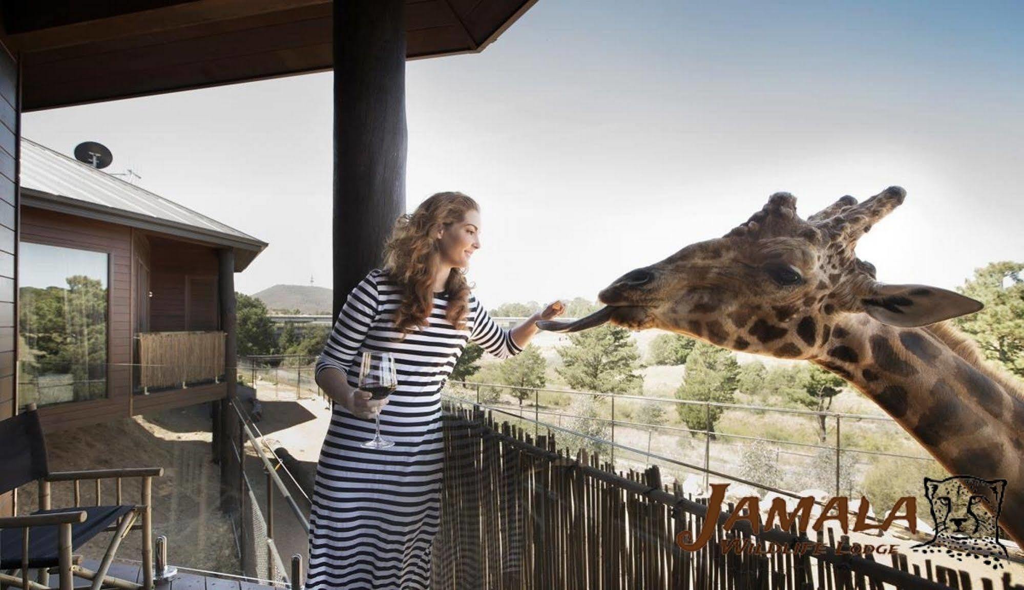 Jamala Wildlife Lodge Canberra Exterior foto